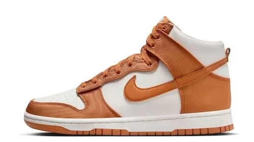 NIKE DUNK HI RETRO SE