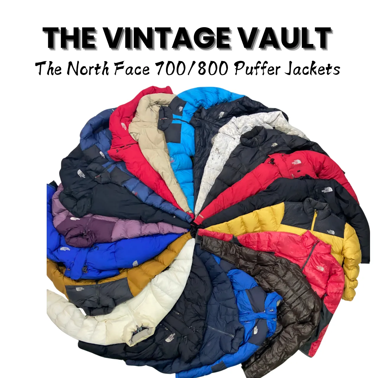 The North Face Series 700 / 800 Puffer Jackets 40 pcs